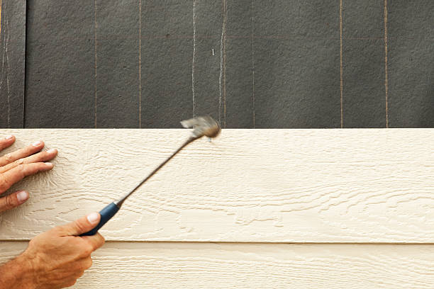 Best Stucco Siding  in Cherokee, IA